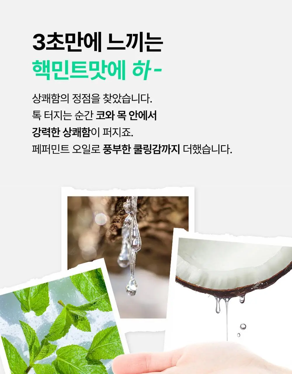 [대용량] 덴티스테 민트볼 5팩 상세페이지 9